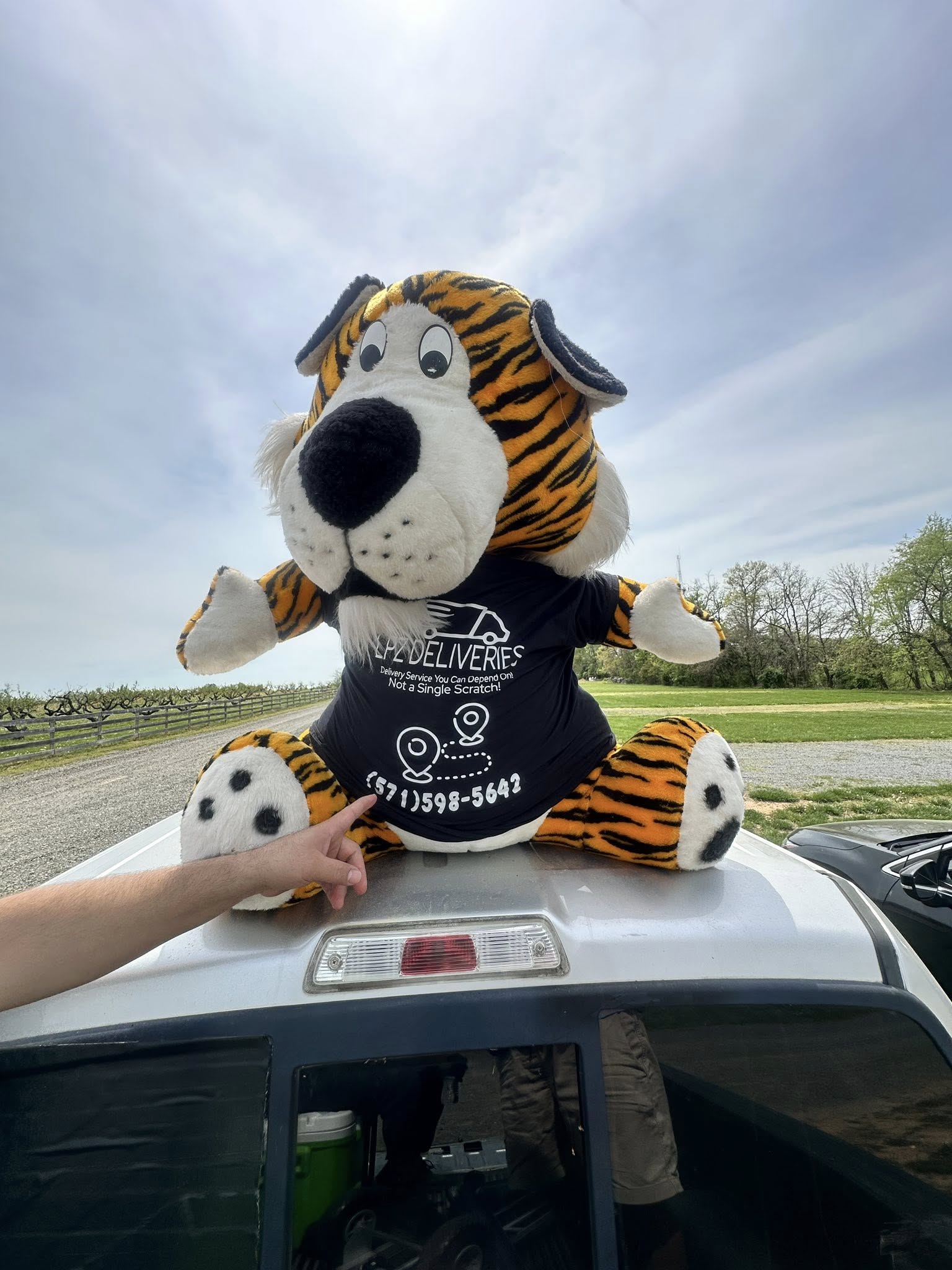 LPZ Deliveries Moving Service
